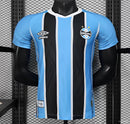 GREMIO (JUGADOR) | 25/26