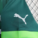 CONJUNTO INFANTIL PALMEIRAS 23/24