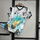 JAPÓN | 24/25