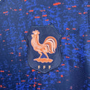 FRANCIA || 25/26