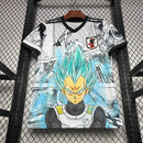 JAPÓN | 24/25