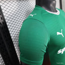 PALMEIRAS (JUGADOR) | 26/27